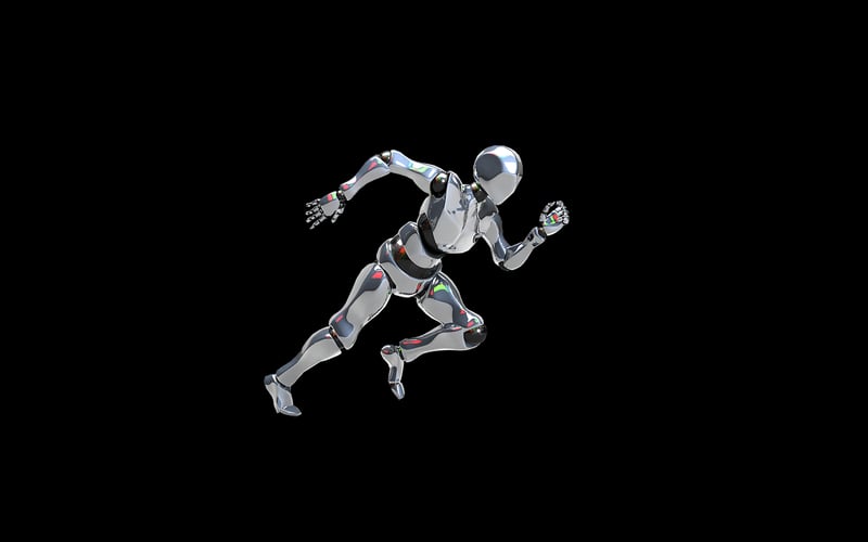 Robot Companions